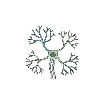 Flat color icon of a multipolar neuron cell structure with dendrites and axon
