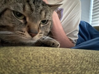 man with cat © Brayden