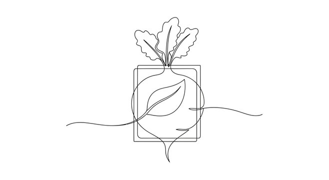 Minimalist single line drawing of a beet plant growing from soil, symbolizing organic farming and healthy food.