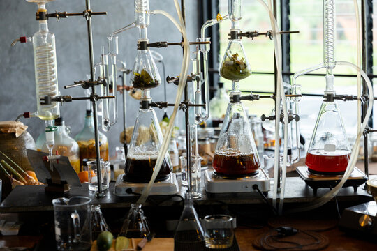 Laboratory distillation glassware gin distillation alcohol distillation scientific equipment transparent liquid chemistry aromatic herbs glass flask laboratory experiment