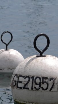 White Mooring Buoys Floating in Calm Blue Lake Water