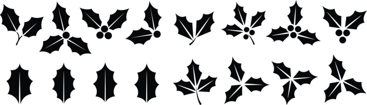 Holly berry leaves silhouette collection for christmas holiday decoration and winter season botanical design.