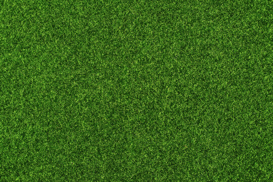 Green grass background, artificial turf texture top view