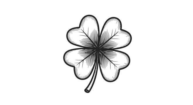 Black and White Four Leaf Clover Illustration.