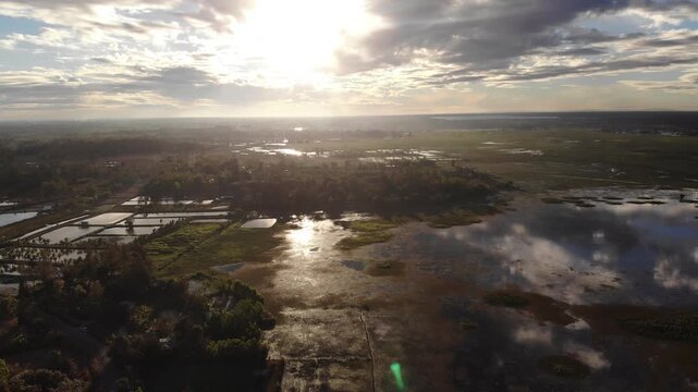 Top down aerial view of the wetland in Surin province at sunrise showing a farmland and swamp surface in a great wetland area cover many mile square in northeastern Thailand.