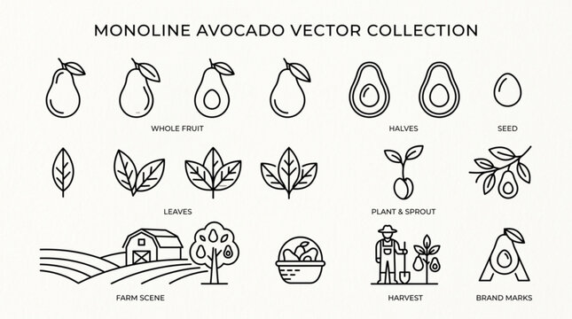 Monoline avocado vector collection for food