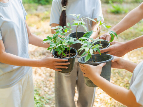 Asian people holding plant and standing in a circle at forest