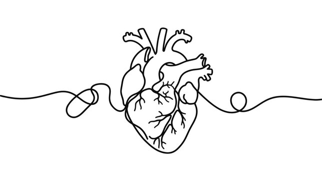 striking continuous single line illustration of an anatomical human heart, capturing its complex biological structure through a minimalistic, unbroken black stroke