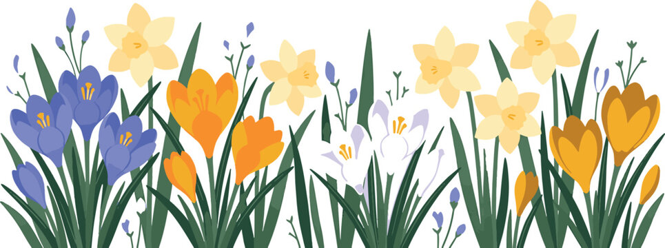 Watercolor spring flowers decorative border with spring flower watercolor blooming botanical daffodil colorful seasonal decoration illustration springtime blossoming background