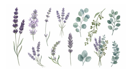 Watercolor lavender and eucalyptus floral set, hand painted purple flower branches and green leaves, botanical vector elements for wedding invitations © xantii