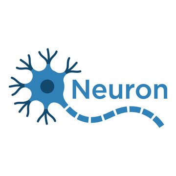 Blue neuron cell with dendrites and axon on white background icon