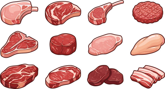 Raw meat cuts collection, beef pork chicken and steak vector illustration bundle