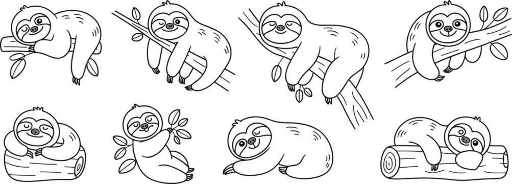Cute sloth characters relaxing on tree branches vector illustration collection set