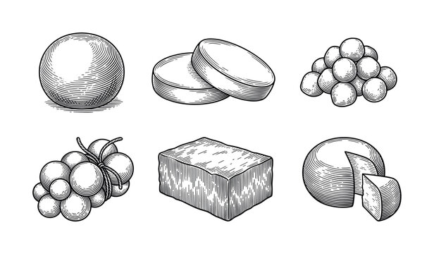Cheese collection featuring mozzarella, feta, Gouda, Parmesan, cheddar, ricotta and provolone varieties