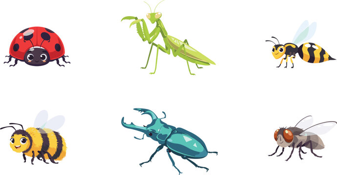 Cute insect cartoon character vector illustration set featuring funny ladybug praying mantis wasp honey bee stag beetle and housefly icons on white background