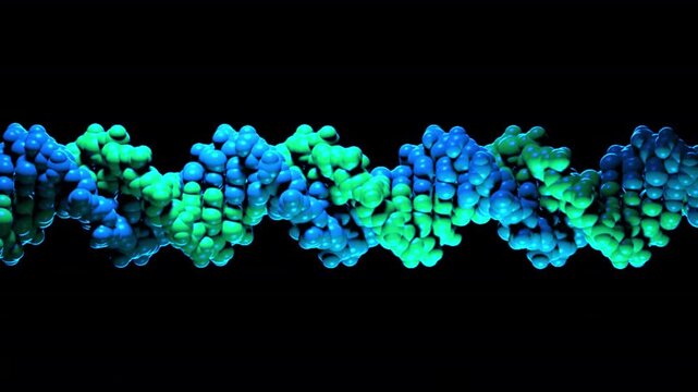 Explore the DNA Molecule Model in stunning HD1080 detail