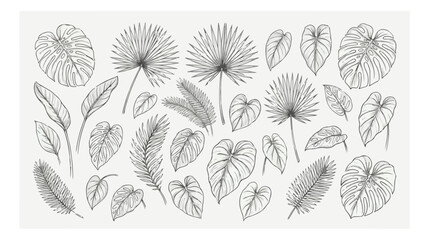 Hand drawn tropical leaves vector set, black ink line art botanical foliage collection, monstera and palm leaf illustrations for wedding stationery © HayeGareebi