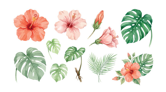 Watercolor tropical hibiscus flowers and monstera leaves vector set, elegant pink and orange floral elements, exotic botanical palm leaf collection