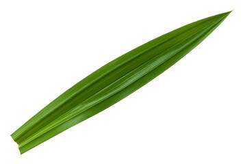 Obraz premium Fresh Green Pandan Leaf Isolated on White Background.