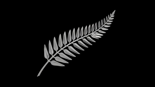 3D illustration of a silver fern leaf isolated on black background