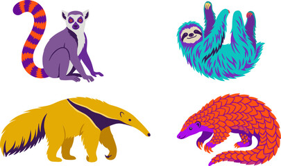 Obraz premium Flat Vector Cartoon Illustration Set Featuring Ring Tailed Lemur Hanging Sloth Giant Anteater and Armored Pangolin for Tropical Wildlife and Education Designs
