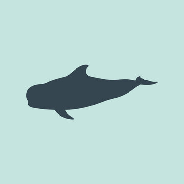 A dark silhouette of a pilot whale on a blue background