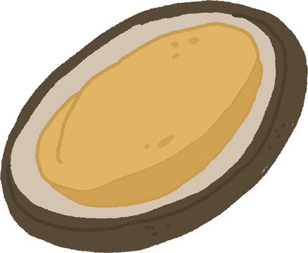 Fresh Seafood Abalone Illustration