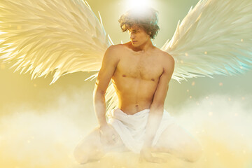 Obraz premium Radiant Heavenly Guardian
