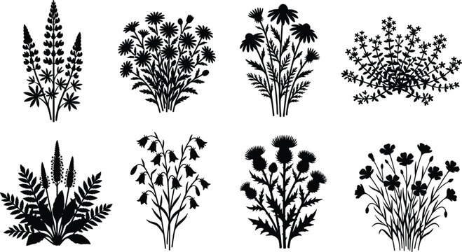 Collection of wildflower and herb silhouettes including chamomile thistle lavender and bluebell vector design elements