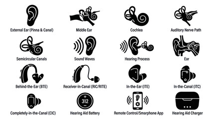 Human ear anatomy and hearing aid icons. © Betatas