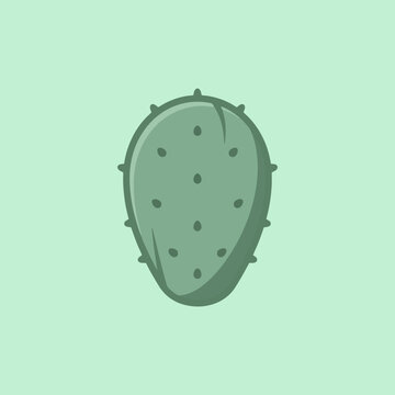 Flat vector illustration of a green prickly pear cactus pad