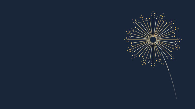 Firework Explosion in Night Sky with Bright Colors.