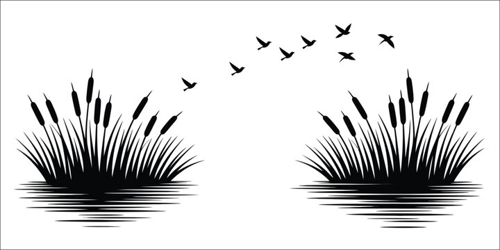 Silhouette of flying birds over reeds and water with reflection in black and white, high quality professional detailed modern elegant stylish clean crisp vector illustration, serene nature scene with 