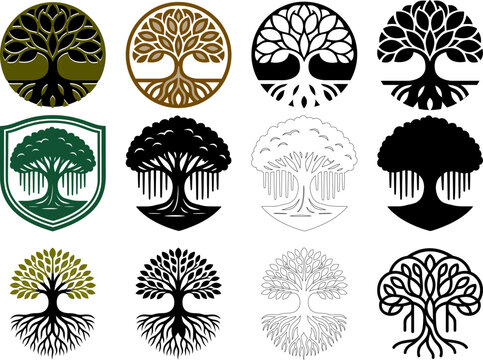 Tree of life logo set, 12 circular and shield banyan tree icons with roots, black and green organic nature emblems for branding and wellness