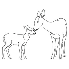 Fototapeta premium Mother deer and fawn touching noses in gentle embrace