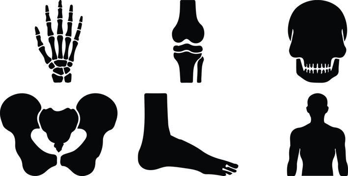 Human bone anatomy icons set, black silhouette skeletal system symbols, medical orthopedic vector illustrations of skull, pelvis, and joints isolated PNG with Transparent Background