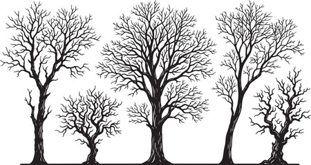 Obraz premium Set of hand drawn bare trees with detailed branches in black ink sketch style for seasonal design