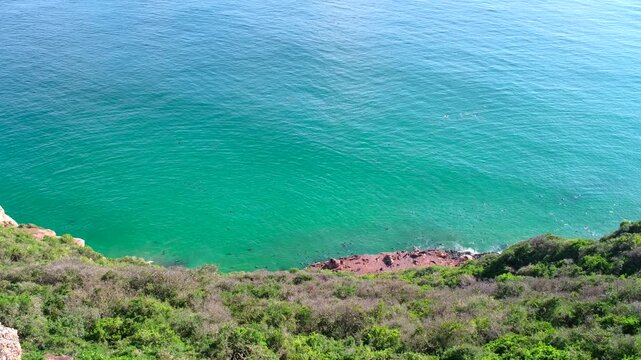 Blue seawater and noisy Cape fur seal population on Robberg peninsula. High angle downward view on clear sunny morning in Plettenberg Bay on Garden Route of South Africa.