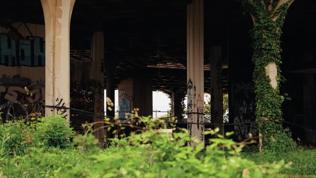 Inside an abandoned building covered with graffiti and overgrown plants. Empty structure with concrete columns, ivy growth and signs of neglect and decay.