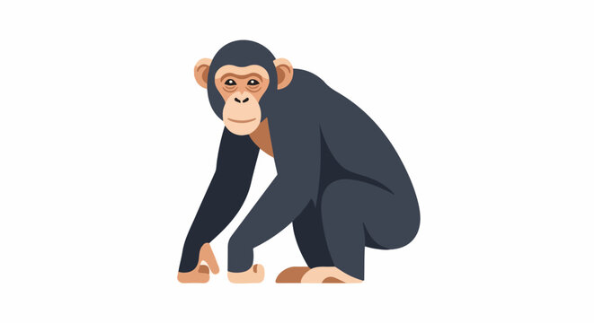 A monkey with dark hair and light skin on its face and hands crouches