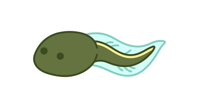 Cute cartoon tadpole swimming in clear water, simple illustration