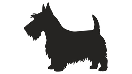 A stark black silhouette captures the distinct profile of a Scottish Terrier, elegantly showcasing its iconic wiry beard, alert pointed ears, short sturdy legs, and an upright tail on the canvas area © Skyframe