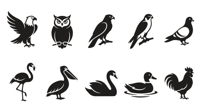 Black bird species silhouettes icons set.