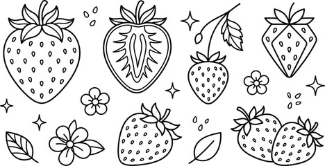 Fresh strawberry fruit vector outline illustration set with whole half slice seed leaf blossom flower line art elements © Hafizul