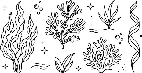Underwater seaweed and coral reef vector outline illustration set with marine plants kelp and bubbles line art elements © Hafizul