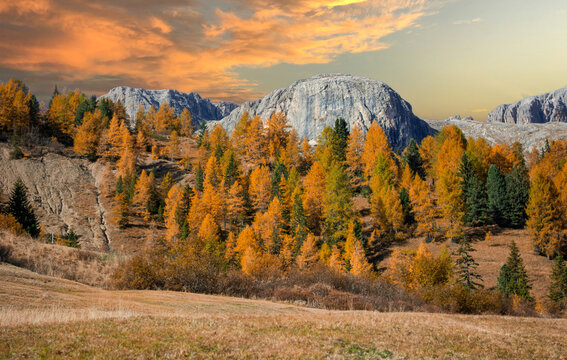 When autumn lights up the golden larches at the foot of the stone giants
