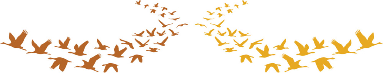 Obraz premium Abstract flock of flying birds vector graphic, migrating bird silhouettes in a dynamic, flowing pattern, symbolizing freedom and movement, ideal for nature-themed designs and environmental