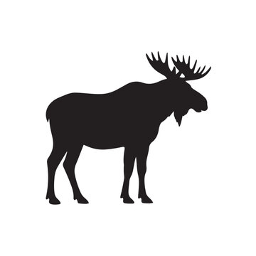 moose silhouette vector