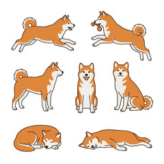 Obraz premium Comprehensive collection akita inu dog illustrations active and resting poses