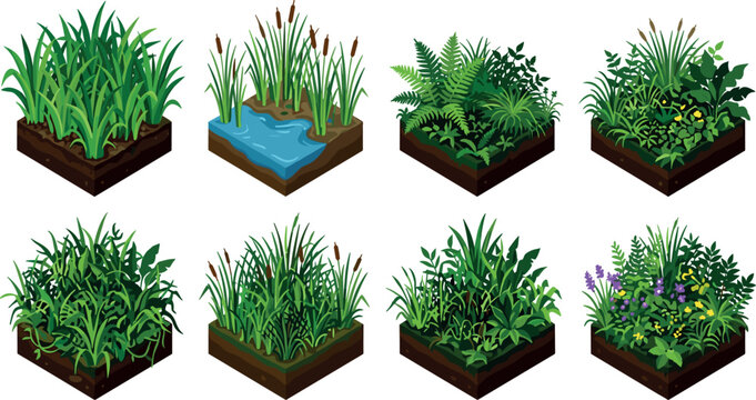 Isometric Jungle Swamp Tile Set with Dense Reeds Water Pond Ferns and Wild Flowers Elements for Rainforest Video Game Map Level Design